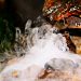 hohe-luftfeuchtigkeit-raeume-tipps-tricks-luftentfeuchtung-luft-feuchte-feuchtigkeit-schimmel-bautrocknung-duregger-bautrockner-mieten-muenchen