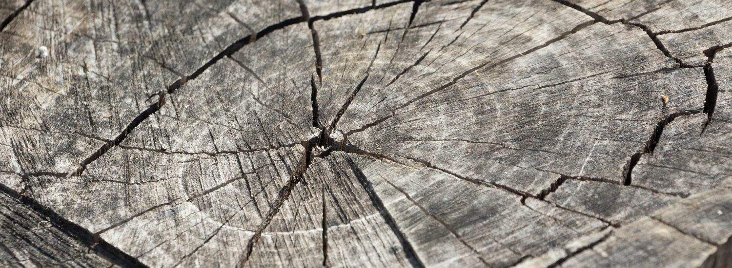 trocknung-massiver-bauteile-neubautrocknung-bautrocknung-duregger-vermietung-bautrockner-mieten-muenchen-luftentfeuchter-technische-trocknung-restfeuchte-rohbau