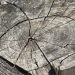 trocknung-massiver-bauteile-neubautrocknung-bautrocknung-duregger-vermietung-bautrockner-mieten-muenchen-luftentfeuchter-technische-trocknung-restfeuchte-rohbau