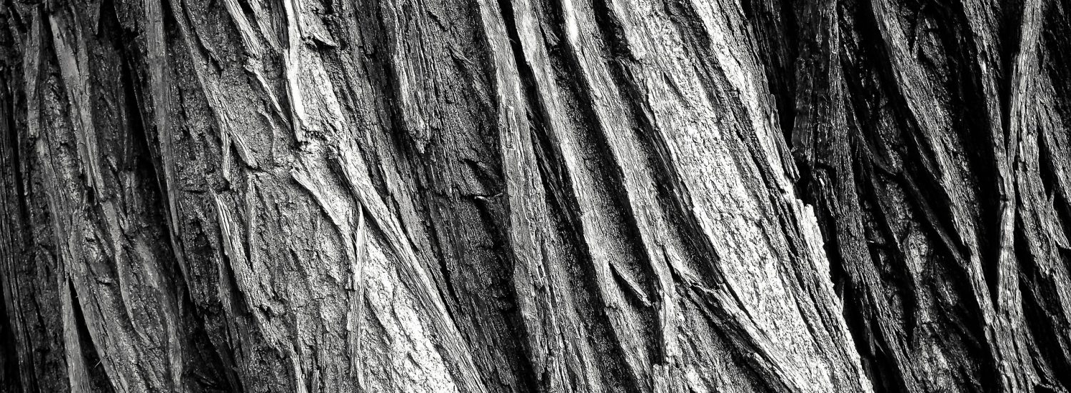 Trocknungsverfahren im Überblick speziell Trocknung Trocknungszeit Infrarottrocknung Unter-Estrich Trocknung Hohlraumtrocknung Wasserschäden Feuchtigkeit